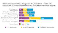 Grafik Kreislaufwirtschaft Art der Chancen