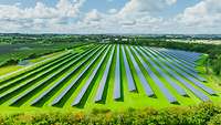 Feld mit Solarpanels