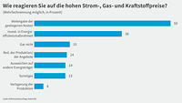 Grafik zur Konjunkturumfrage Herbst 2022, Reaktionen der Gesamtwirtschaft auf Energiepreise 