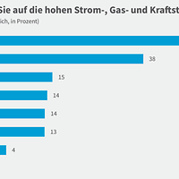 Grafik zur Konjunkturumfrage Herbst 2022, Reaktionen der Gesamtwirtschaft auf Energiepreise 