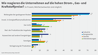 Grafik zur Konjunkturumfrage Herbst 2022, Reaktionen auf Energiepreise nach Branchen 