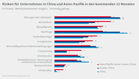 Grafik WBO Herbst 2022 Sonderauswertung Asien Risiken