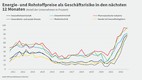 Grafik zum Preisrisiko DIHK-Gesundheitsreport Frühsommer 2022