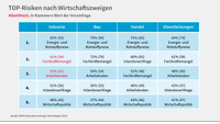 Grafik zur Konjunkturumfrage Jahresbeginn 2023, Top-Risiken 