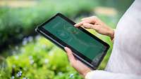 Frau mit Tablet im Garten